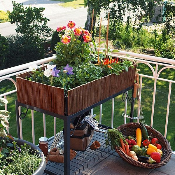 bylinková záhradka-as-hingucker-on-the-vlastný balkón