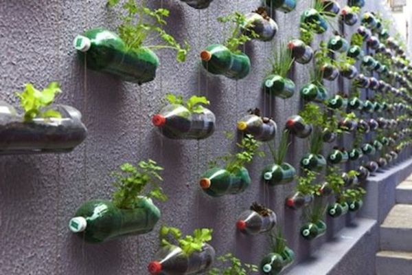 bylinková záhradka-as-wall-dekorácie