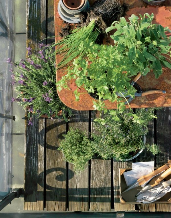 bylinková záhradka-by-the-súkromnom balkóna
