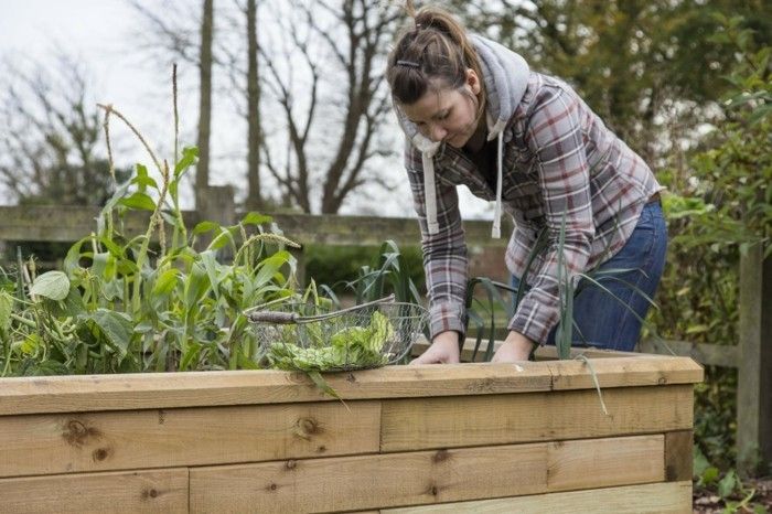 build-kräuterhochbeet-can-be-proprietárnu-kräuterhochbeet-build