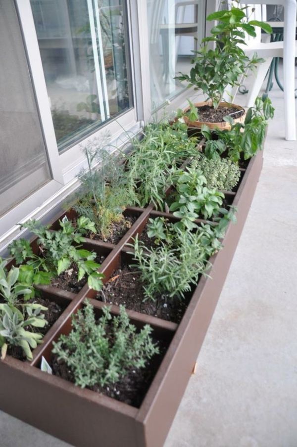 Kräuter-balkón-rastlina-záhradné-invest-drevený-box-split