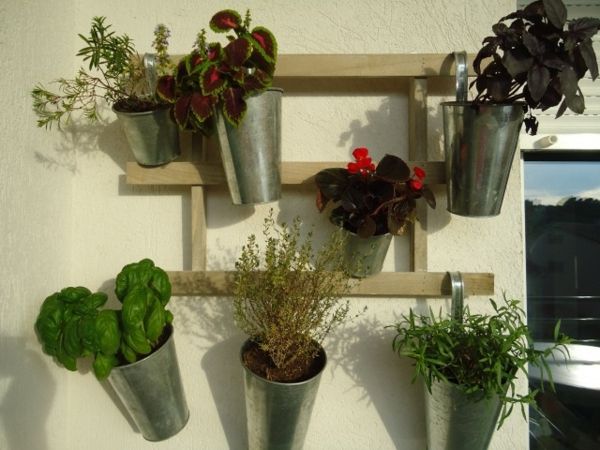 Závesy Kräutergarten-balkónové rastliny vertically-
