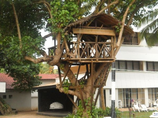 Creative Tree Houses-for-barn