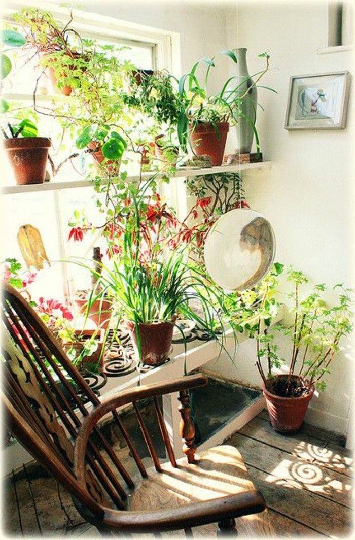 liebezupflanzen-Potplanten-woonkamer-decoration tips-Decor-ideeën
