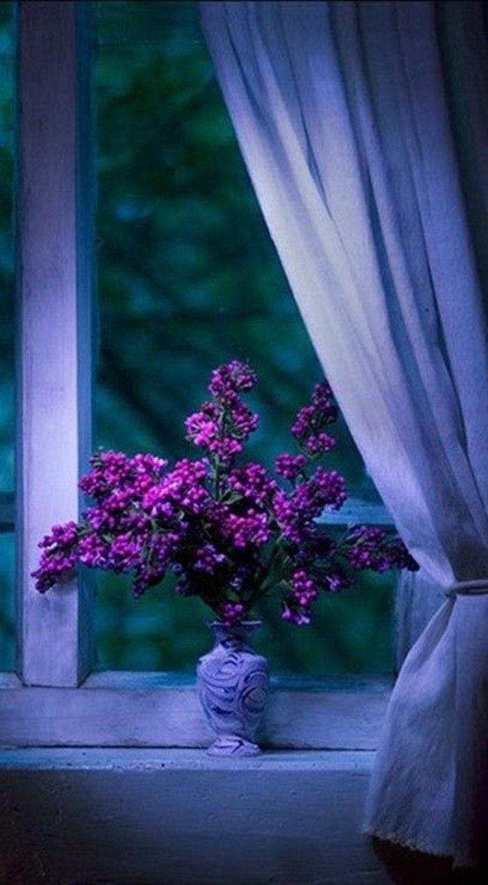 violet-flori-aranjarea-the-fereastra