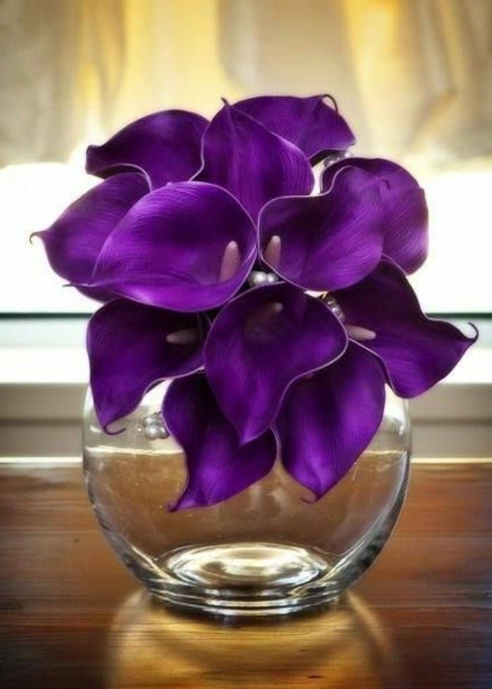 violet-floare-în-formă rotundă vaza