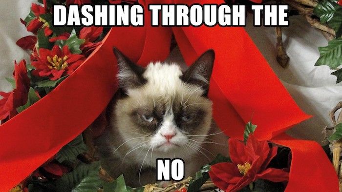 Julbilder en olycklig katt mellan juldekorationer