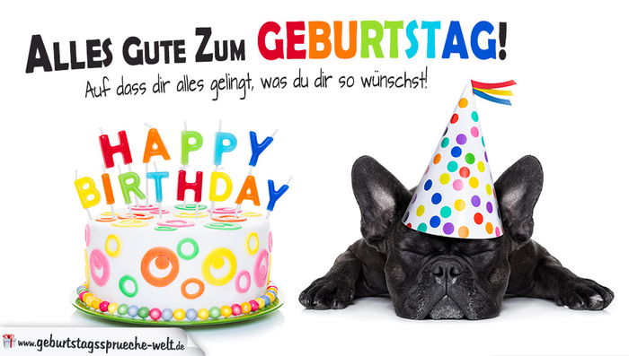 cartão de aniversário engraçado com o cão, feliz aniversário, torta colorida com velas