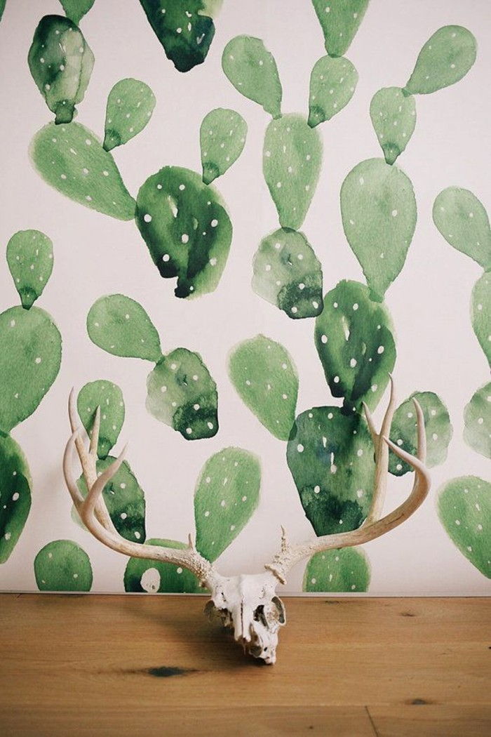 funny-wallpaper-vzor Cactus rustikálnom suvenír