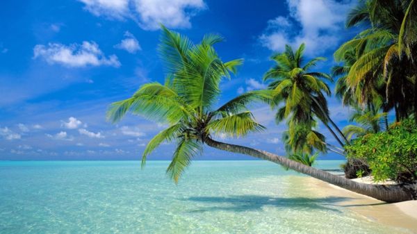 Maldivi raj-še-ozadja-ozadje-potni-slike