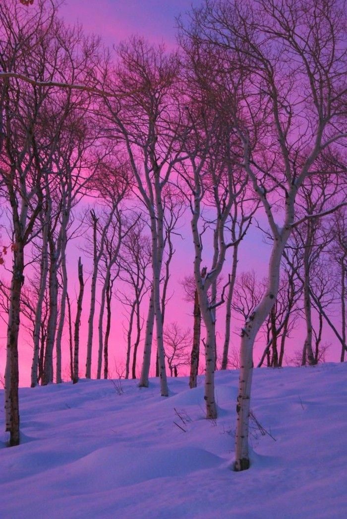 Scenic nuotraukos-su-žiemos projektuoja Gražios žiemos nuotraukos Sunset