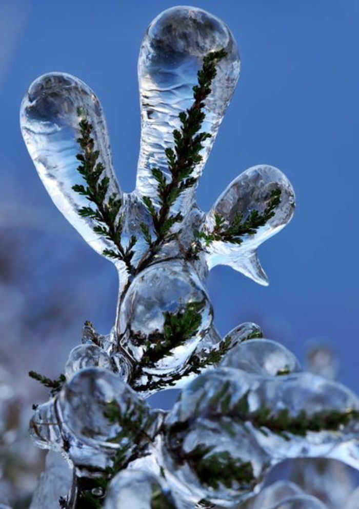 Scenic nuotraukos-su-žiemos motyvai Gražus žiemos vaizdas Ledo įšaldytos filialus