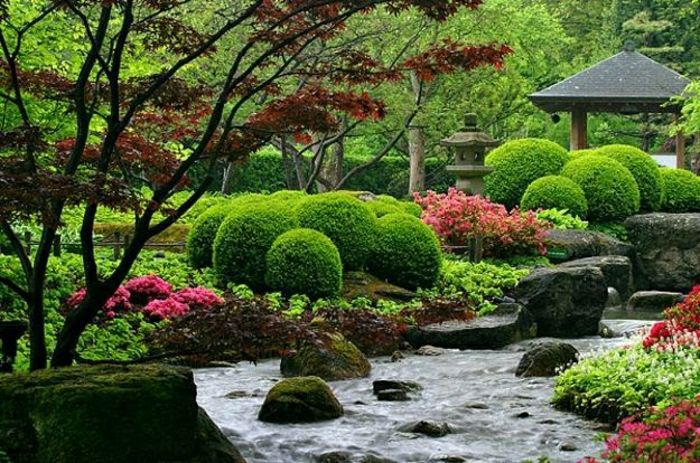 pitoresc Garden japnisch-zen-Asia-arbuști Lake