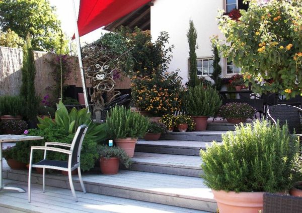 idéias de jardinagem - muitas plantas verdes e escadas de pedra