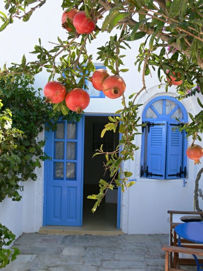 Mediterranean Garden Design Pomegranate Tree Blue Shutters
