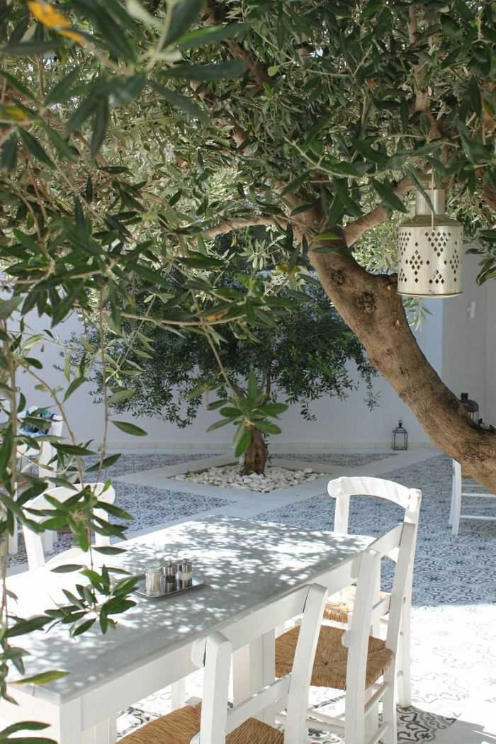 Mediterranean Garden hvite stoler og bord oliventre