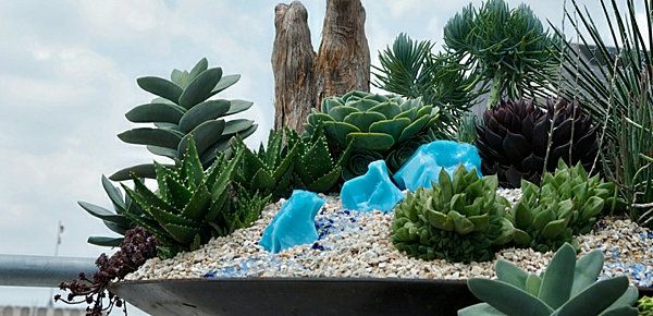 sodo dizainas su žaliais augalais ir mažais akmenimis