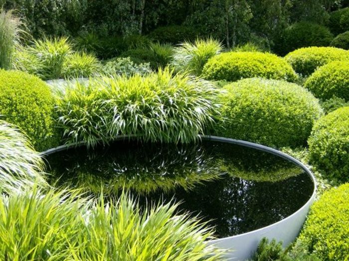 yeşilliklerle çevrili bir su seviyesi - modern bir ön bahçe