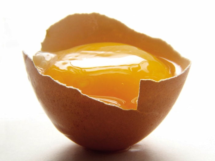 Kel, yumurta ile saç dökülmesi iyileşir, kırık yumurta kabuğu, kremsi beyaz arka planda