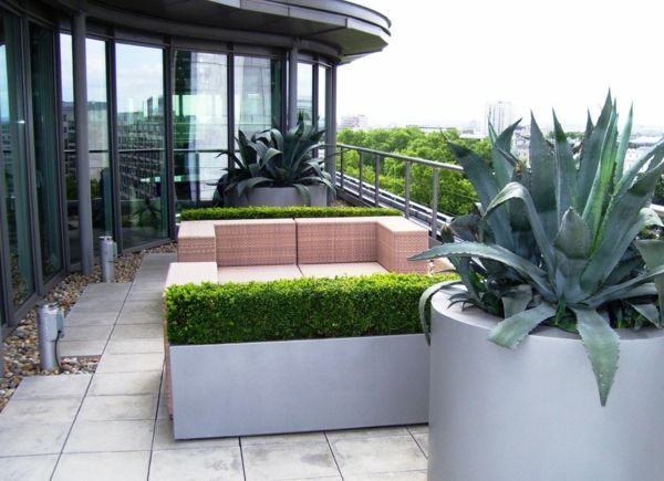 moderno-.gestaltete telhado terraço ao plantio