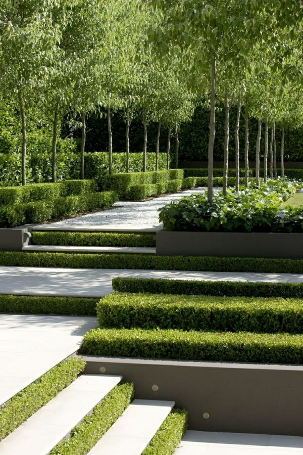 scari-cu-Grass Garden Modern