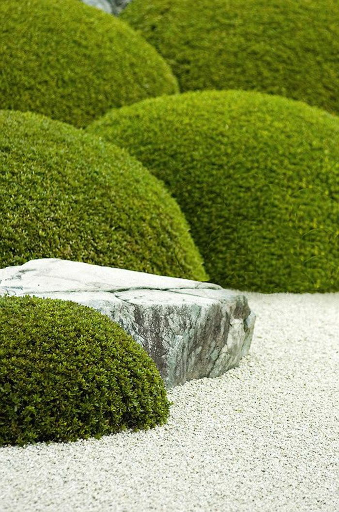 zemin kaplamaları olarak yosun ve çakıl ile bir kaya bahçesi - bahçe tasarım örnekleri