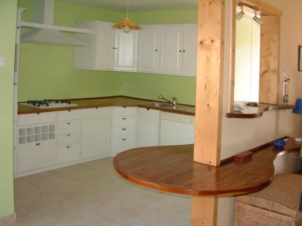 barvna shema za kuhinjo - bele omare zelene stene lesene sestavine