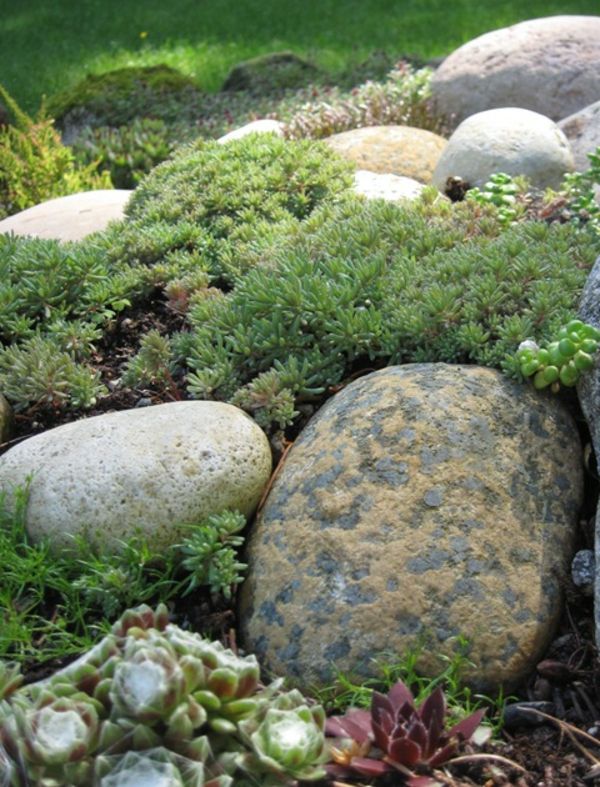 Moderna vrtna zasnova z okroglimi kamni in zelenimi rastlinami