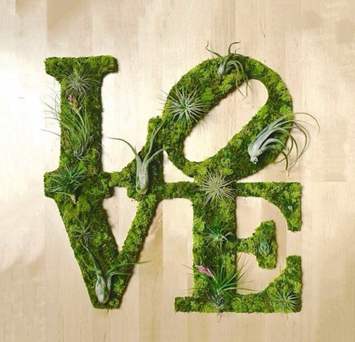 Mossgraffiti med forskjellige sukkulenter: Kjærlighet