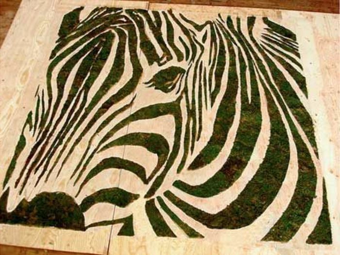 hjemmelaget moss bilde: DIY zebra fra mose