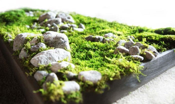 et vakkert mossbilde med steiner i forskjellige størrelser