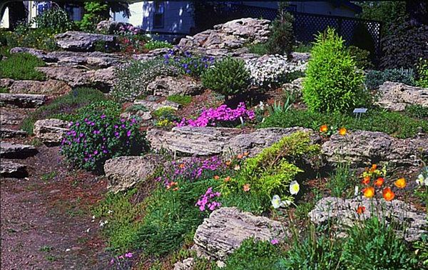 sodo idėja - akmenys ir spalvingos gėlės