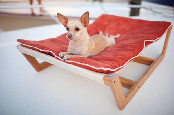 drăguț pat de câine ortopedic model - câine de câine mic