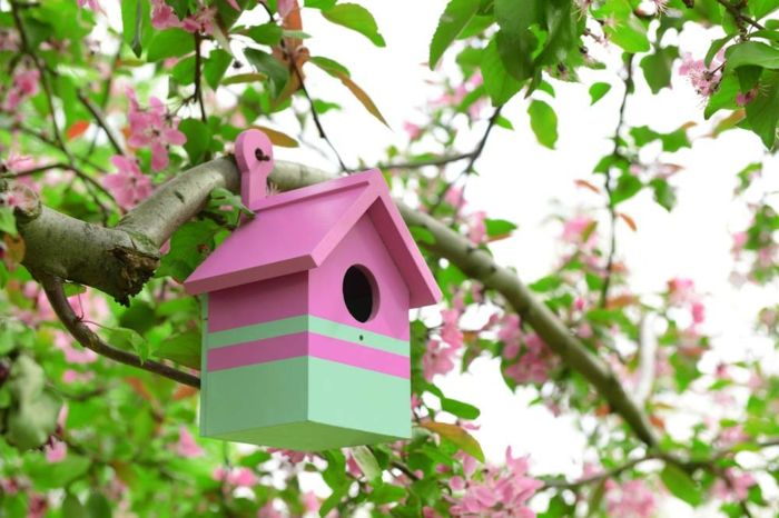Birdhouses feitos de madeira, pintado de rosa e verde, árvore de primavera, idéias de decoração para uma atmosfera feliz em seu jardim