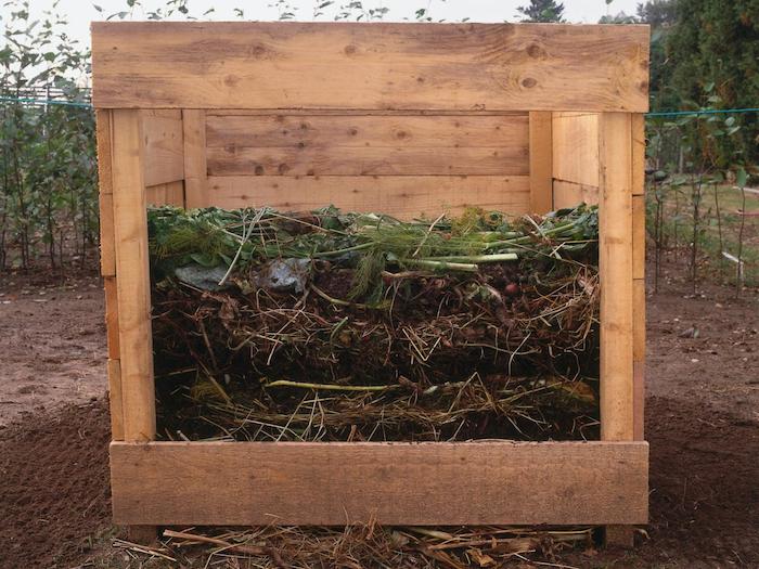 Nå viser vi dem fortsatt bygge kompost selv, som kunne gi dem likte en av våre ideer om emnet - her komposten fra er tre