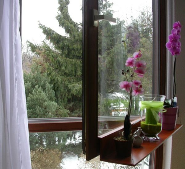orhideja-okno