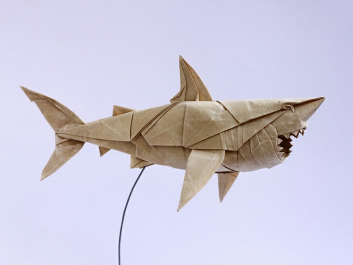 origami-animale-un-cool-hai