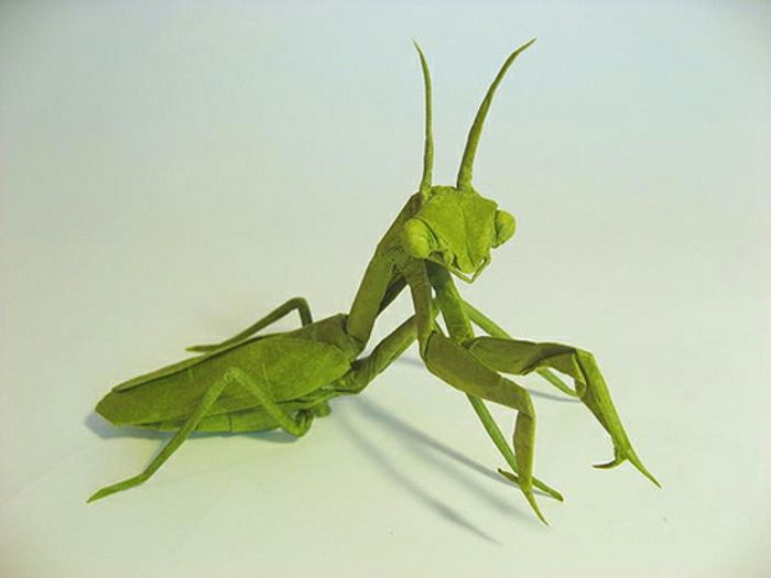 origami-dyr-grønn-gresshoppe