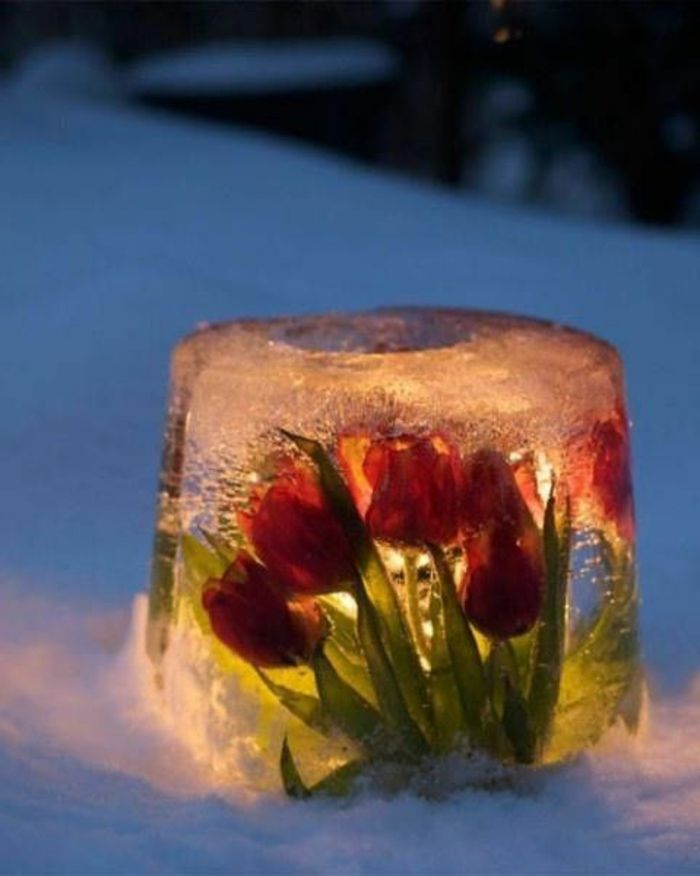 Originálne zimné dekorácie nápad ľadu lampáš mrazené Tulipány Bezplameňová Sviečky