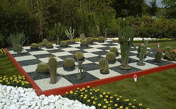 didelis šachmatai - matinis lenta su kaktusu gražioje sode