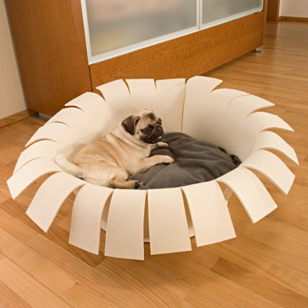 ortopedisk hund säng intressant design - bredvid ett träskåp