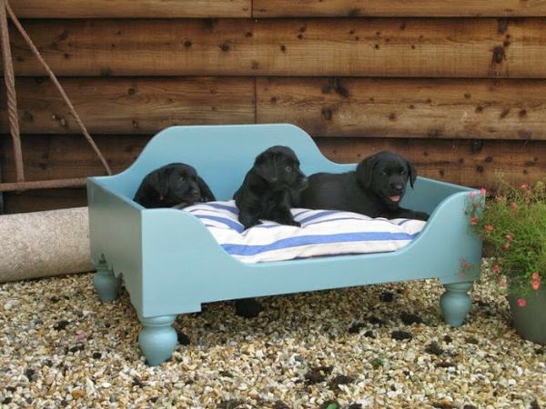 ortopedisk-hund-seng-blå-farge - tre små hunder i svart