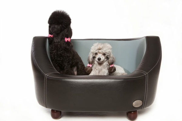 ortopedic-dog-bed-for-two-dogs - fundal alb