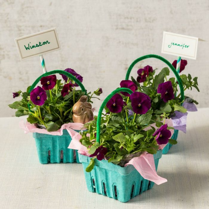 Voor een tuinfeestje voor Easter Egg-box zoals bloempotten met viooltjes
