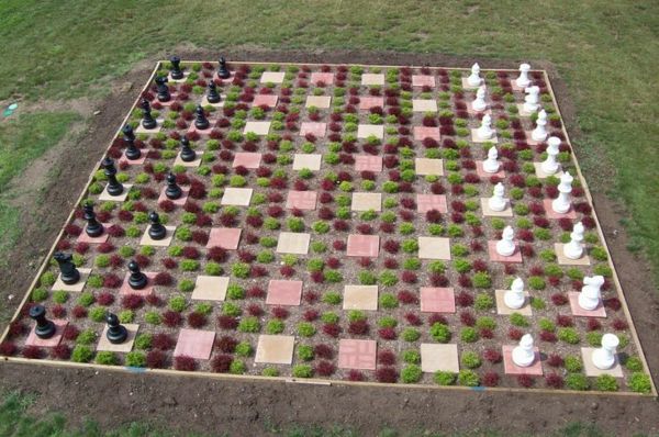 lauko šachmatų spalvingas sodas