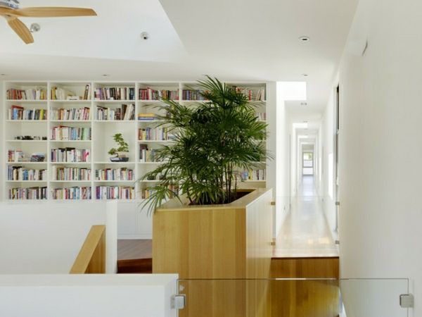 palm-v-vrt-kot-notranji-rastlin-v-knjižnici-stene v beli barvi