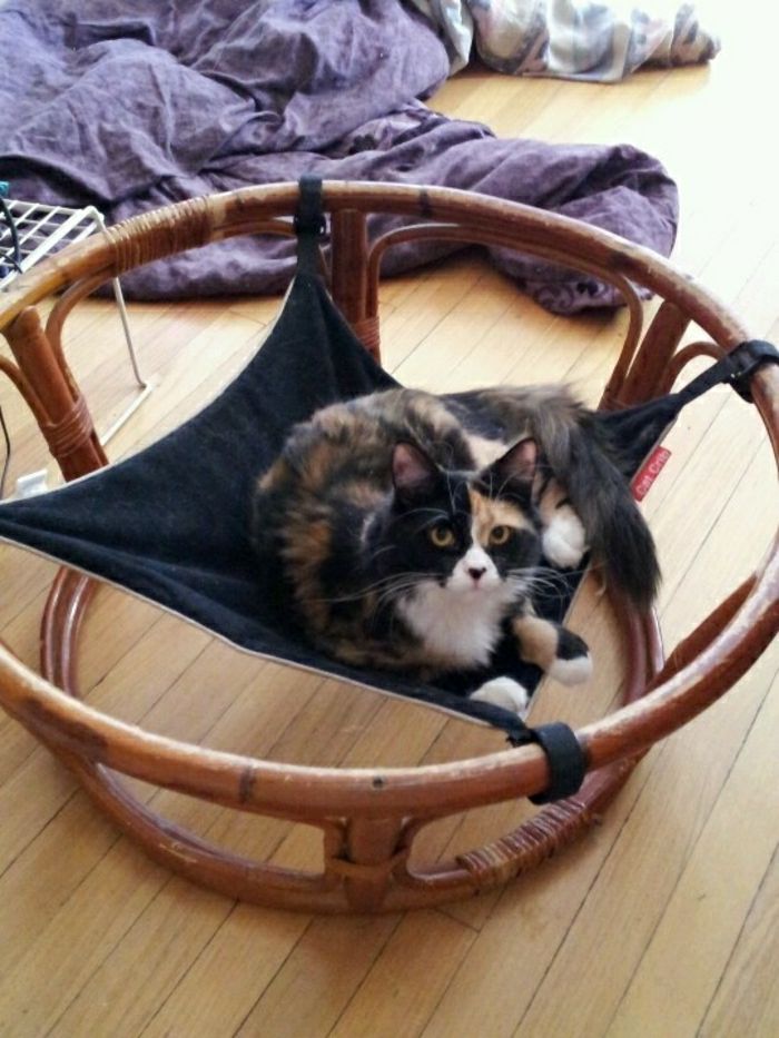 papasan sandalye Kedi Hamak standı