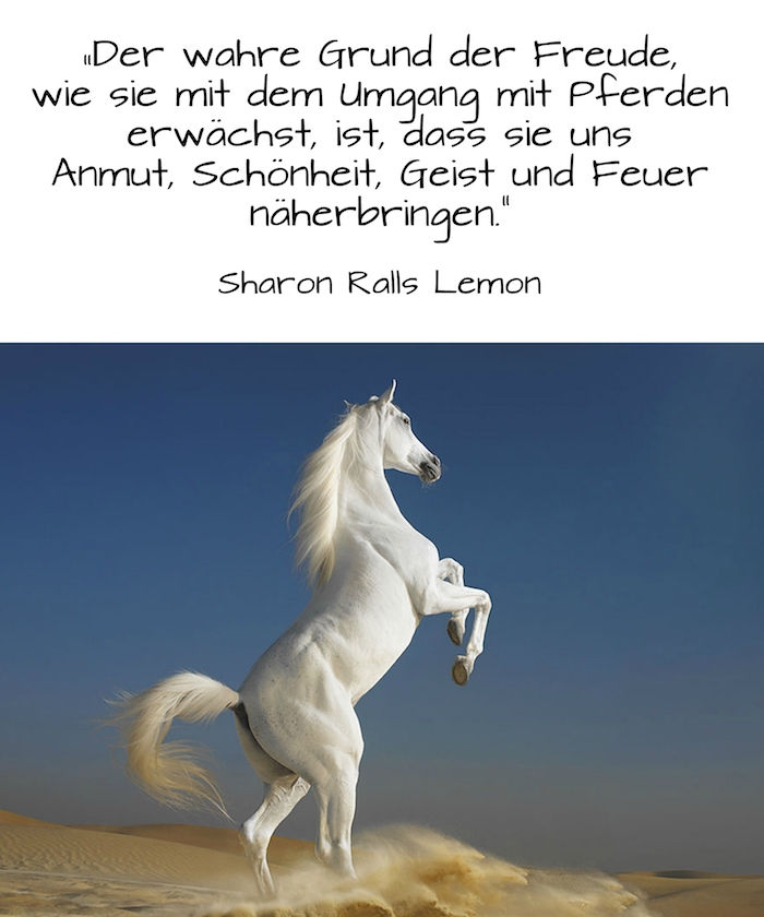 Hier tonen we je een wit, wild paard met witte, lange en dichte manen en grijze hoeven en met een witte staart, blauwe lucht, paard in een woestijn met geel zand, paardenprijzen en prachtige paardenfoto's