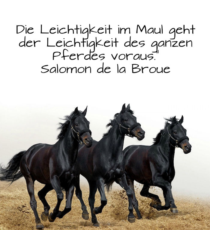 tre cavalli in corsa con la criniera nera e gli occhi neri, ritratto con un'erba gialla e con una citazione di salomon de la broue, una breve frase sul tema dei cavalli