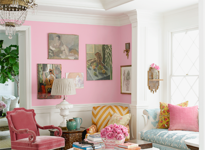 o cameră mare cu decorațiuni cu begonii cu pereți roz și plante de pernă care necesită puțină lumină